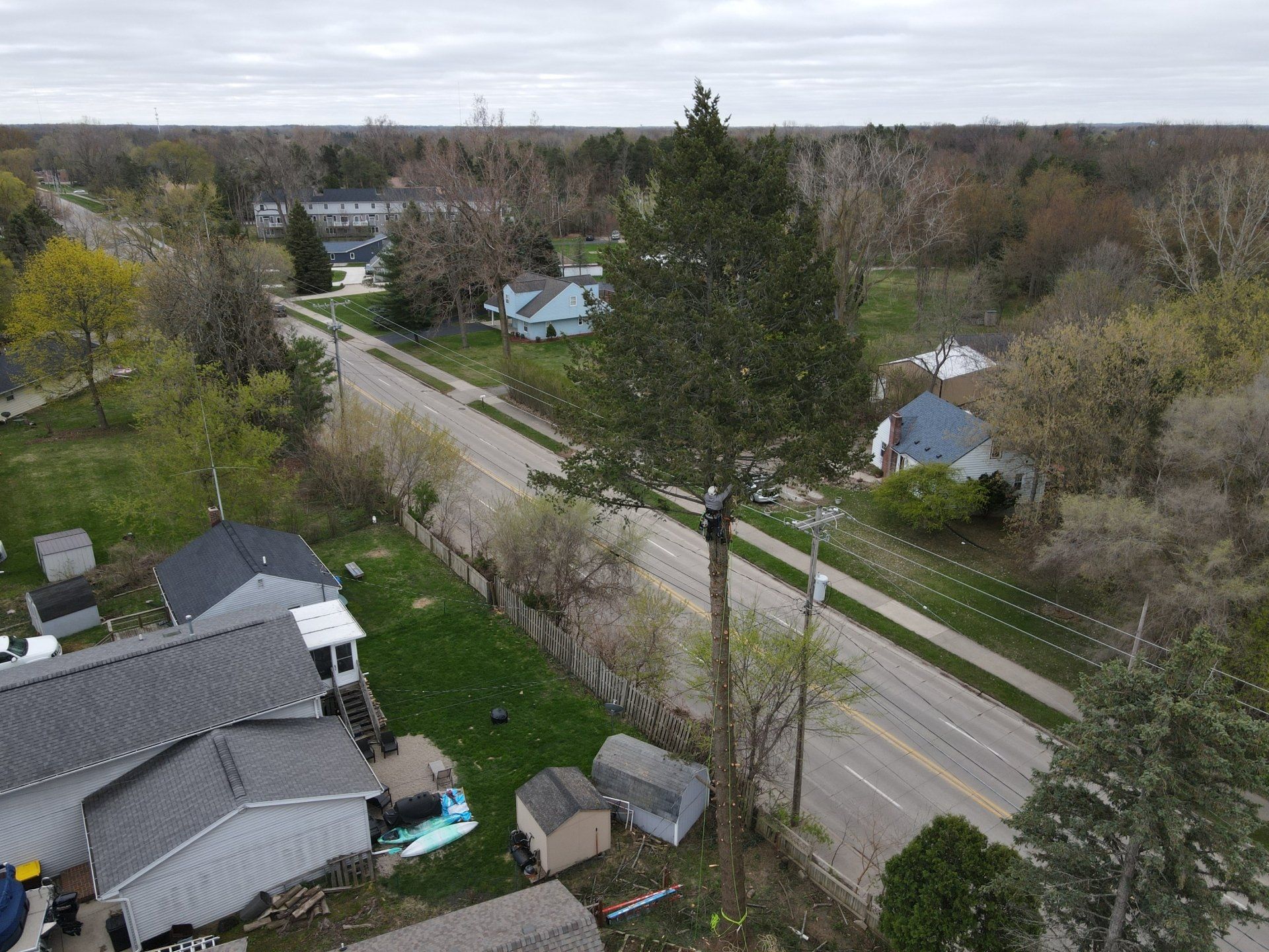 An aerial view of a tree being cut down in a residential area.