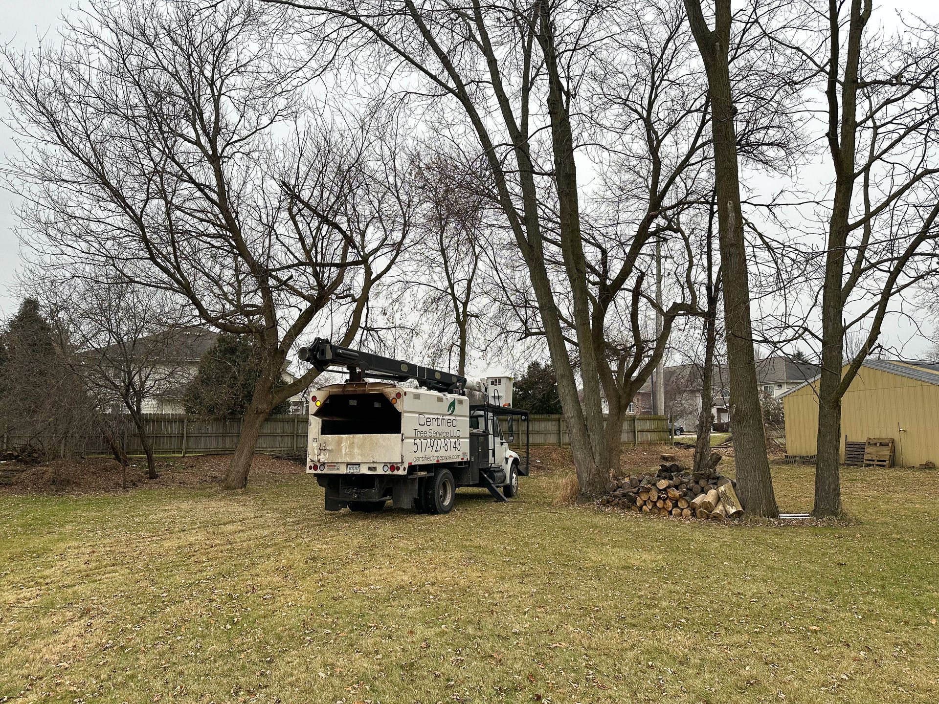Tree service truck in a yard with bare trees and cut logs on the ground.