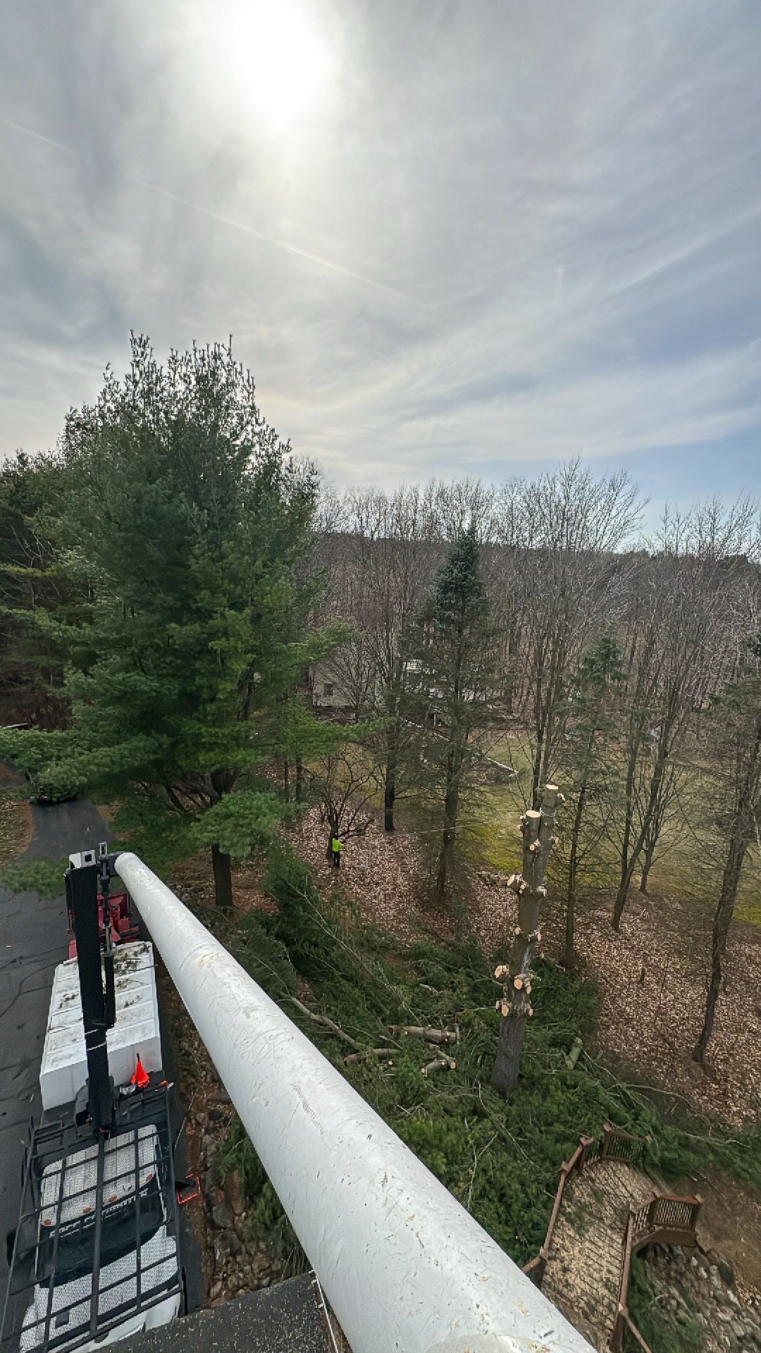 A crane arm reaching towards trees. Bright sky, sunny day.