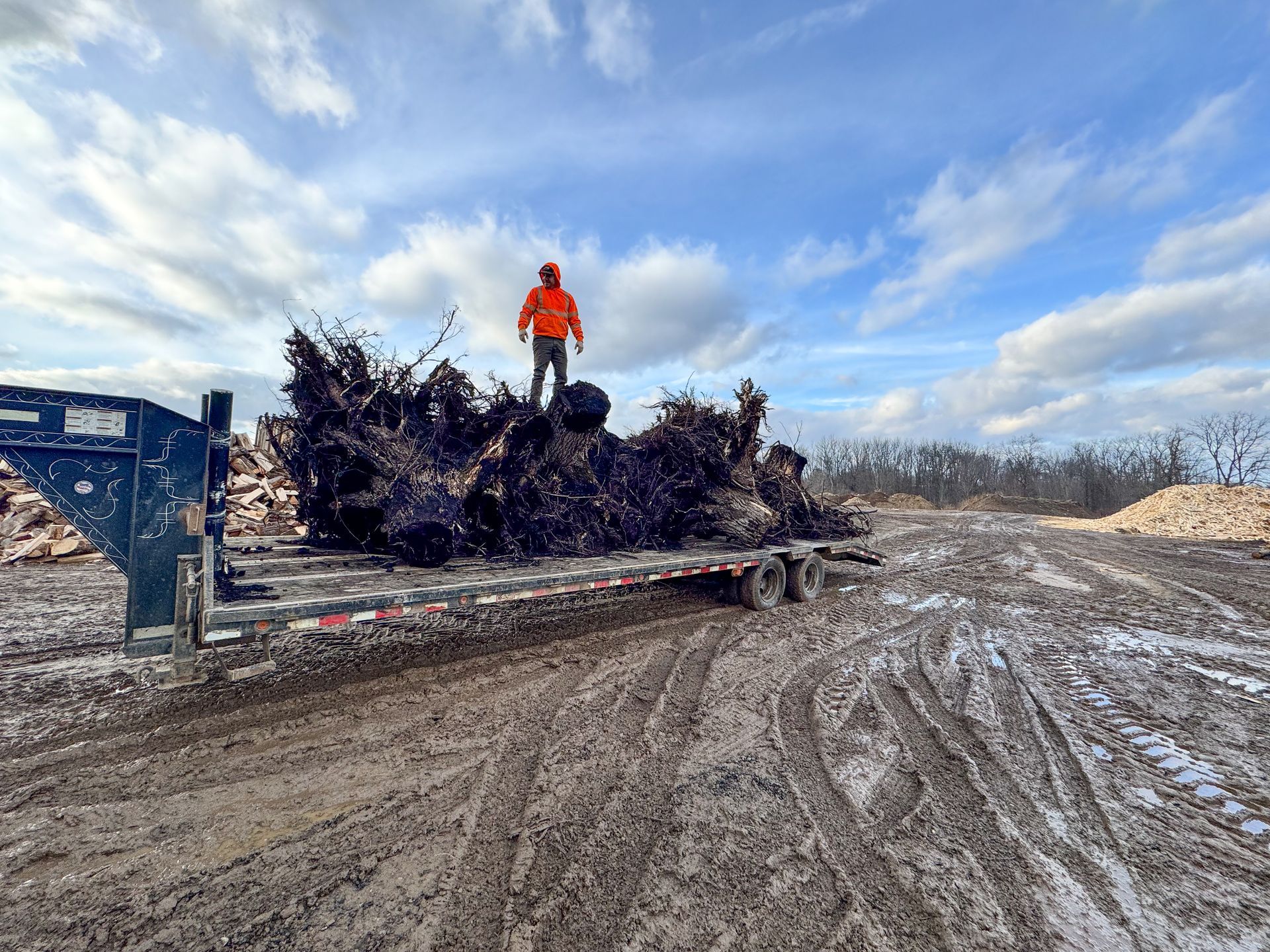 Person in orange jacket stands on a trailer piled with tree roots and debris on a muddy lot under a cloudy sky.