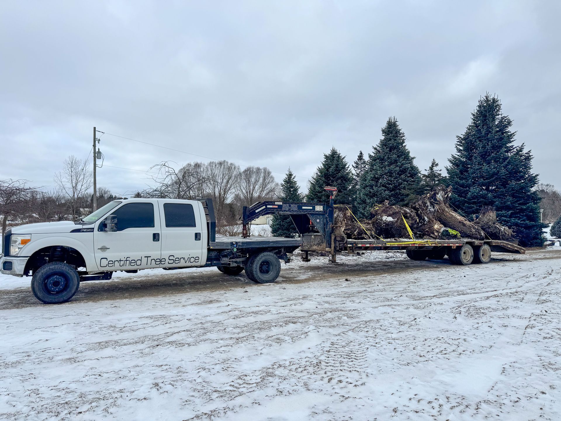 White truck towing trailer loaded with tree roots on snowy ground.