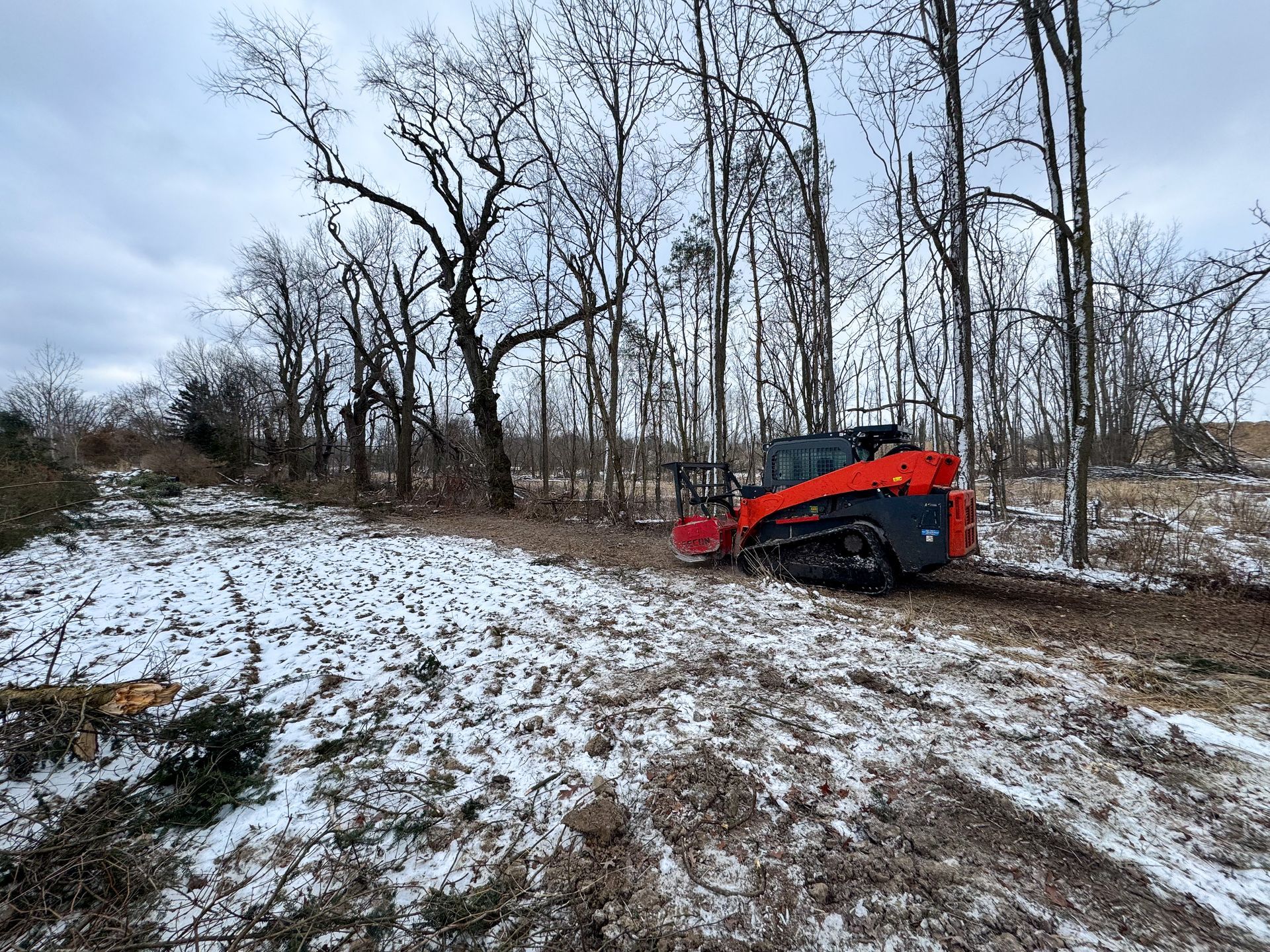 Red skid steer clearing brush in a snowy field with bare trees.