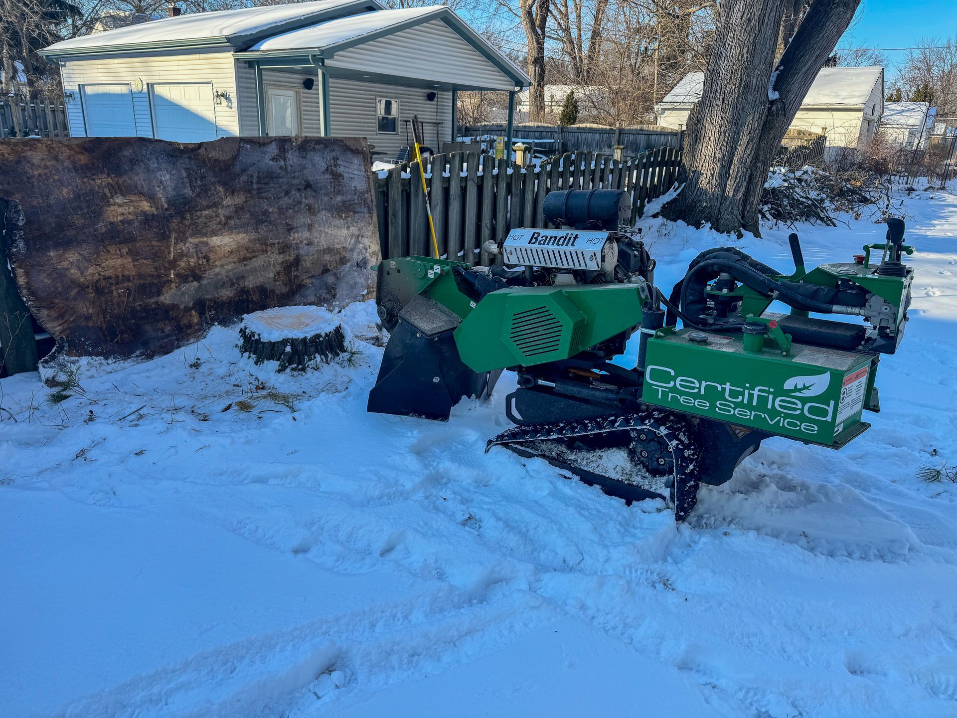 Green stump grinder in snowy yard next to a tree stump, a fence, and a shed.