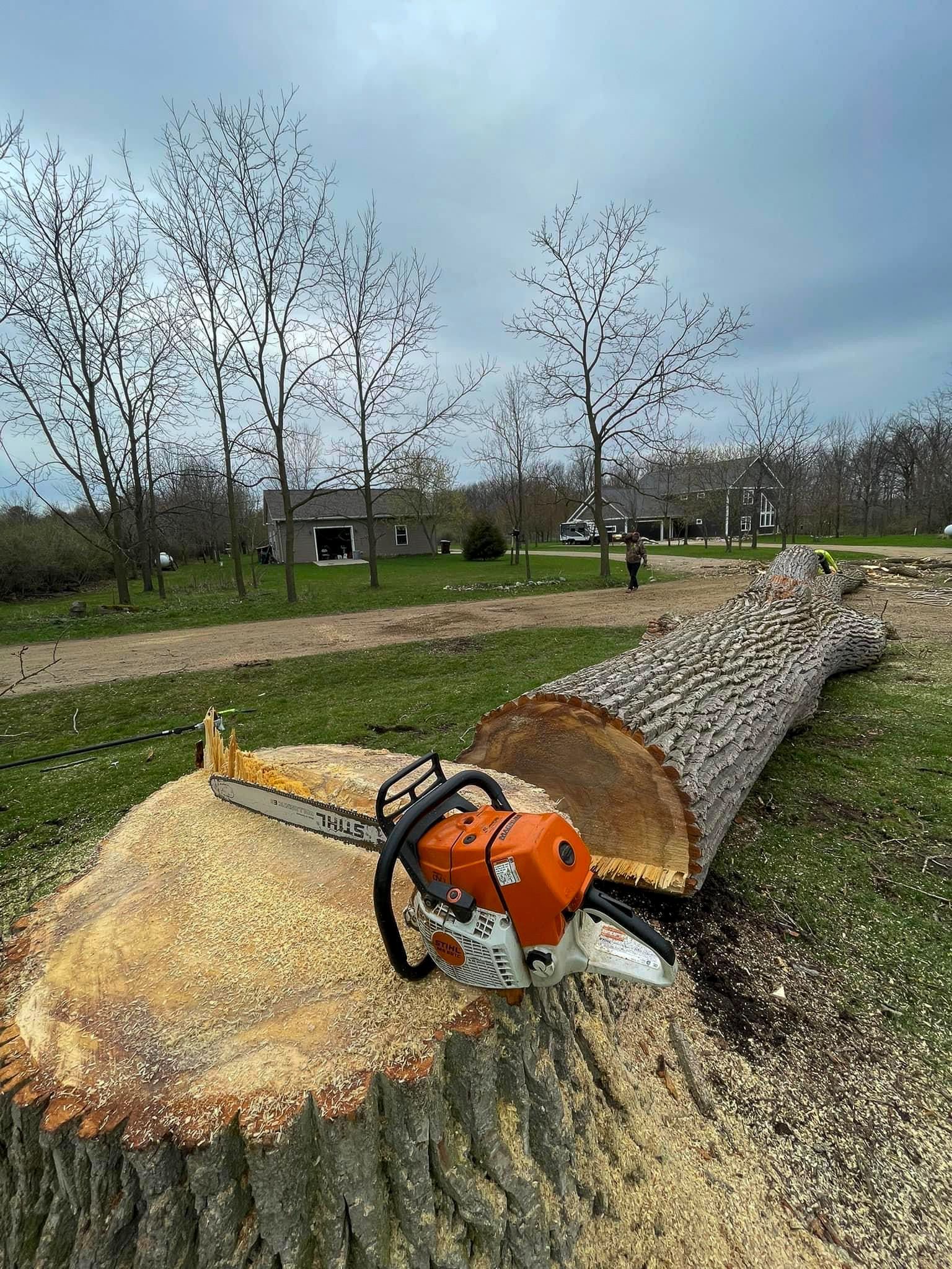 Chainsaw resting on a tree stump next to a felled log in a yard with trees and a building.