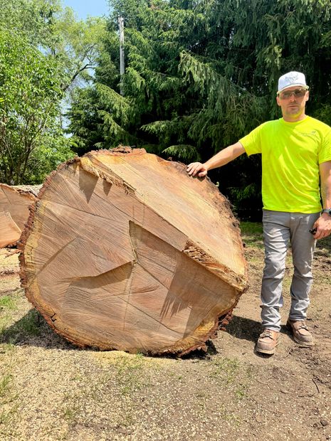 A man in a green shirt is standing next to a tree chipper