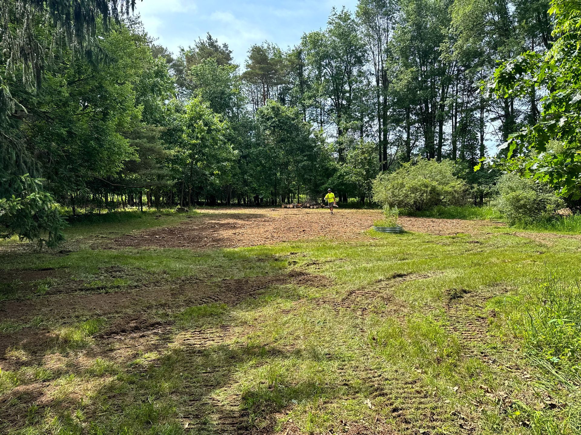 Cleared patch of dirt and grass surrounded by trees, bathed in sunlight.