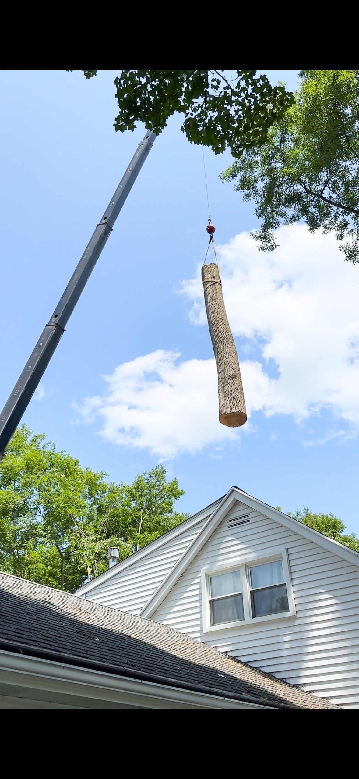 A crane lifting a large log above a house on a sunny day.