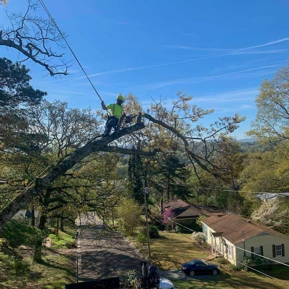 A mobile home is being demolished by a crane in a parking lot.