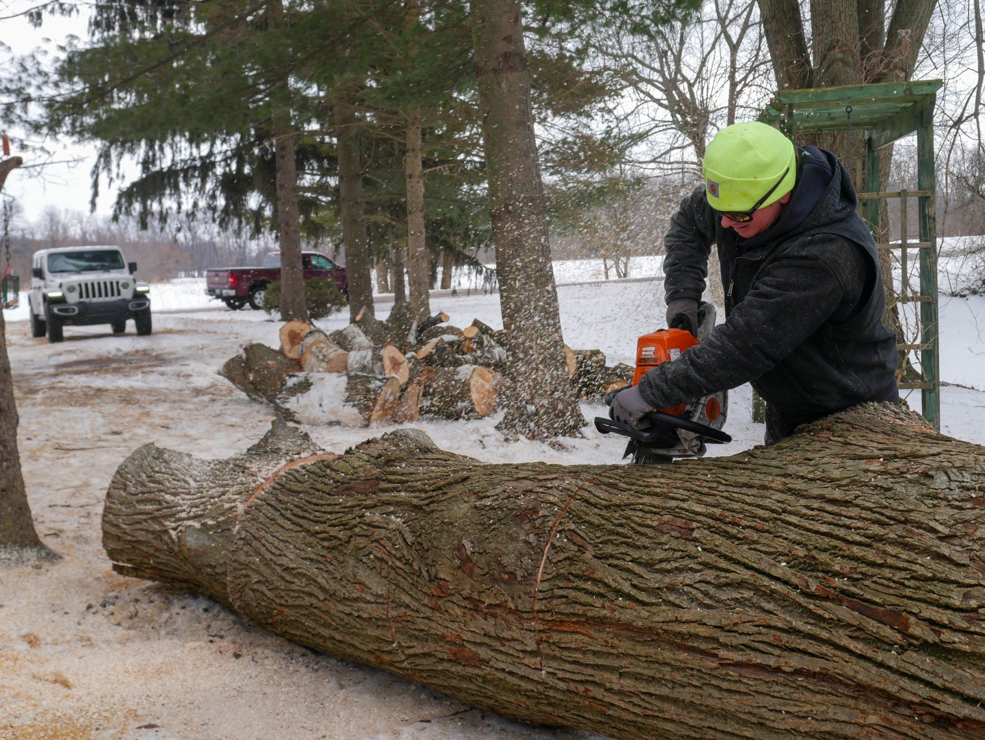 A man is cutting a tree with a chainsaw in the snow.
