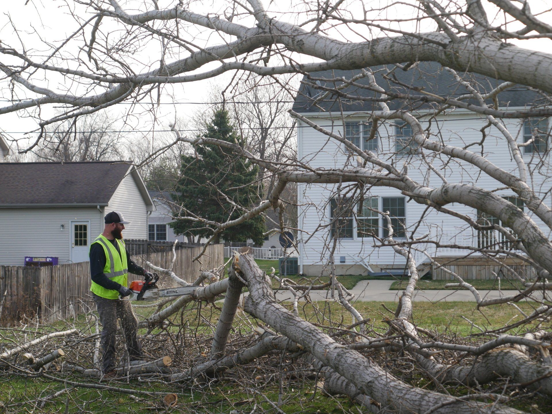 A man is cutting a tree with a chainsaw in front of a house.