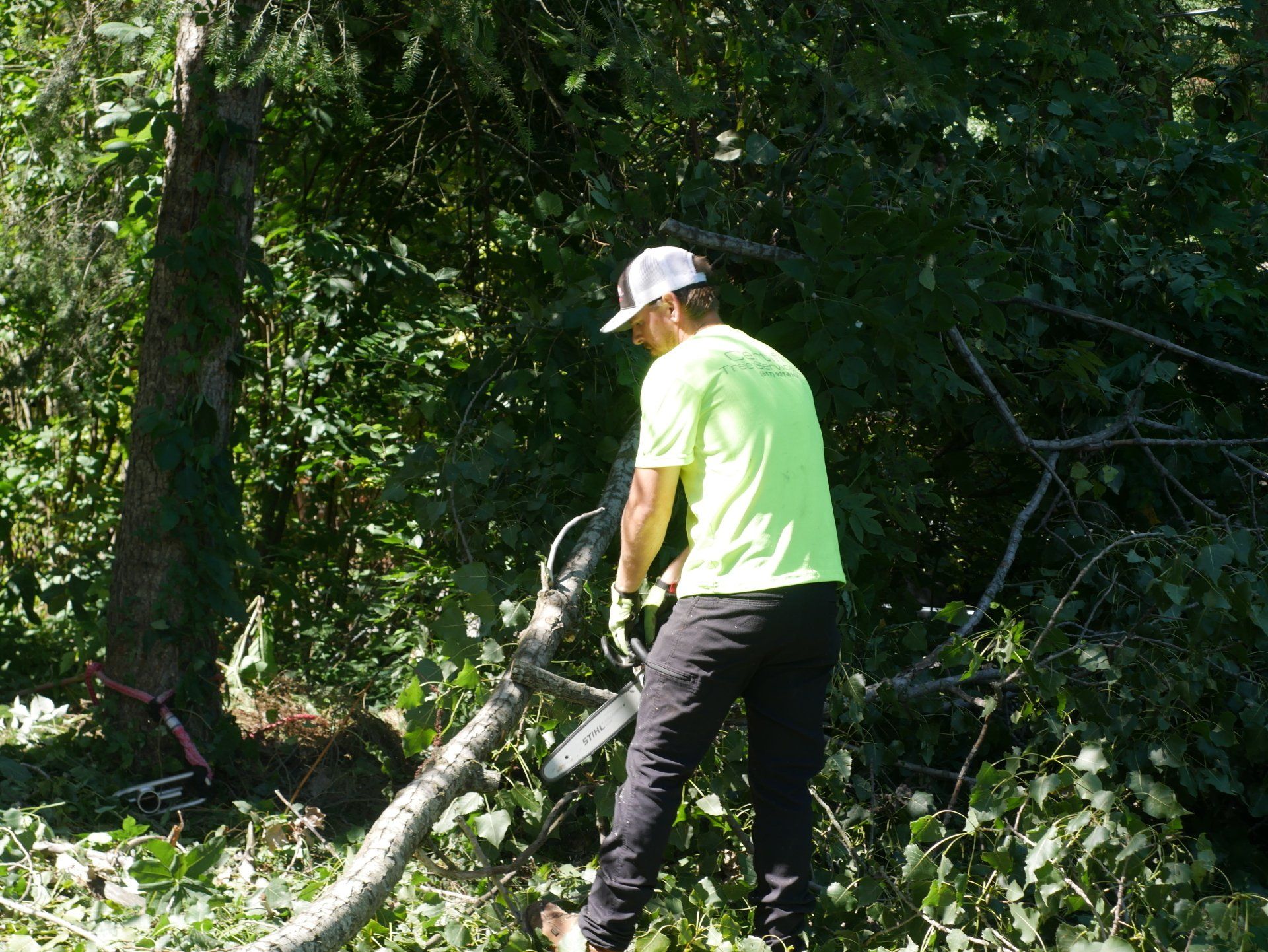 A man is cutting a tree branch with a chainsaw in the woods.