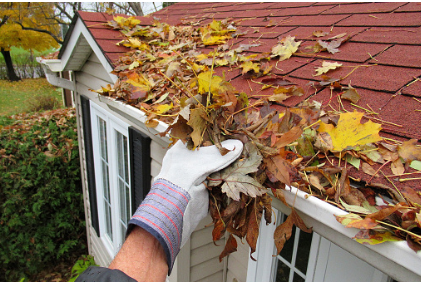 Cleaning a gutter of leaves from a roof MRI Roof Restoration.