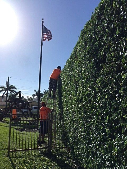 Lawn maintenance and landscaping performed in Boca Raton, FL Lawn maintenance and landscaping performed in Boca Raton, FL