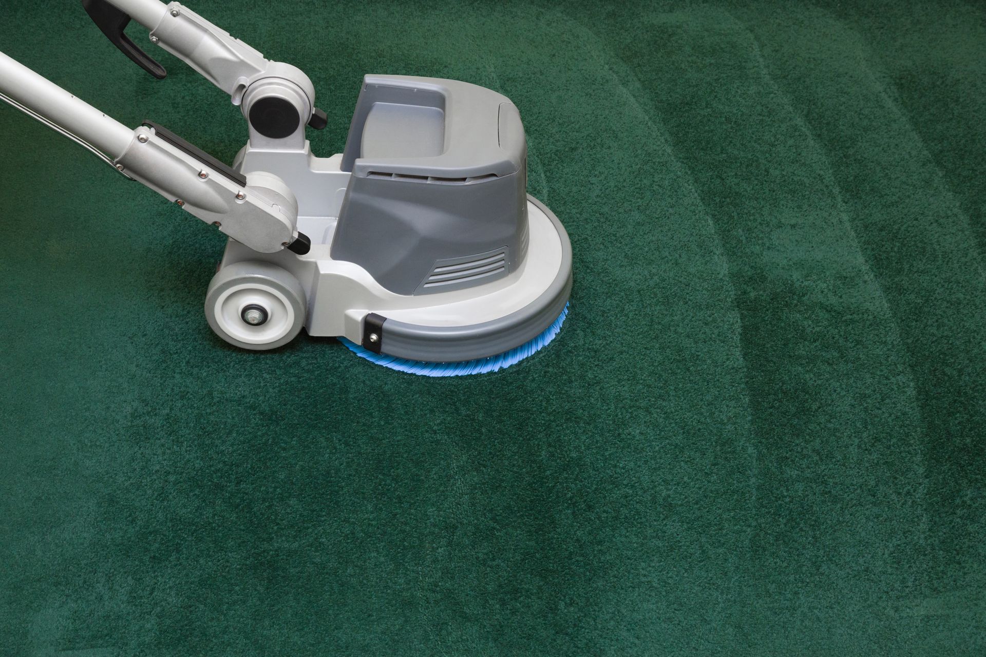 A person is cleaning a carpet with a vacuum cleaner.