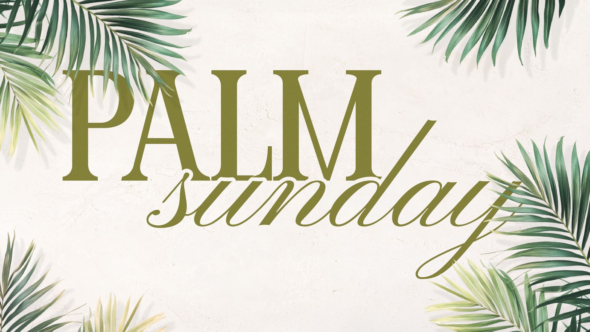 Current Sermon Series