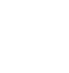 Spider Icon — Port Republic, VA — Moyers Termite & Pest Control