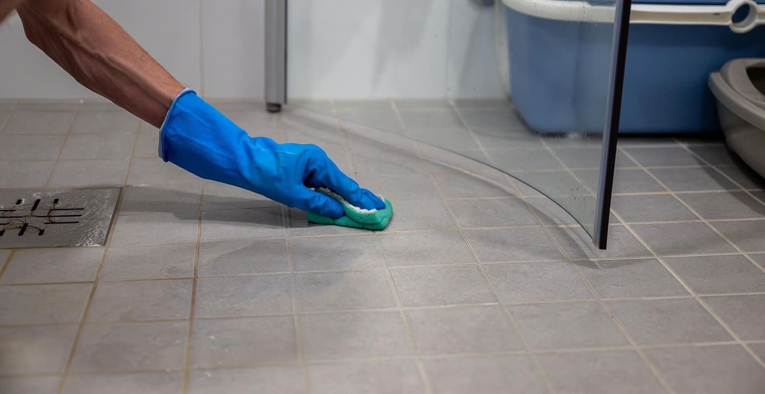 Grout cleaning services