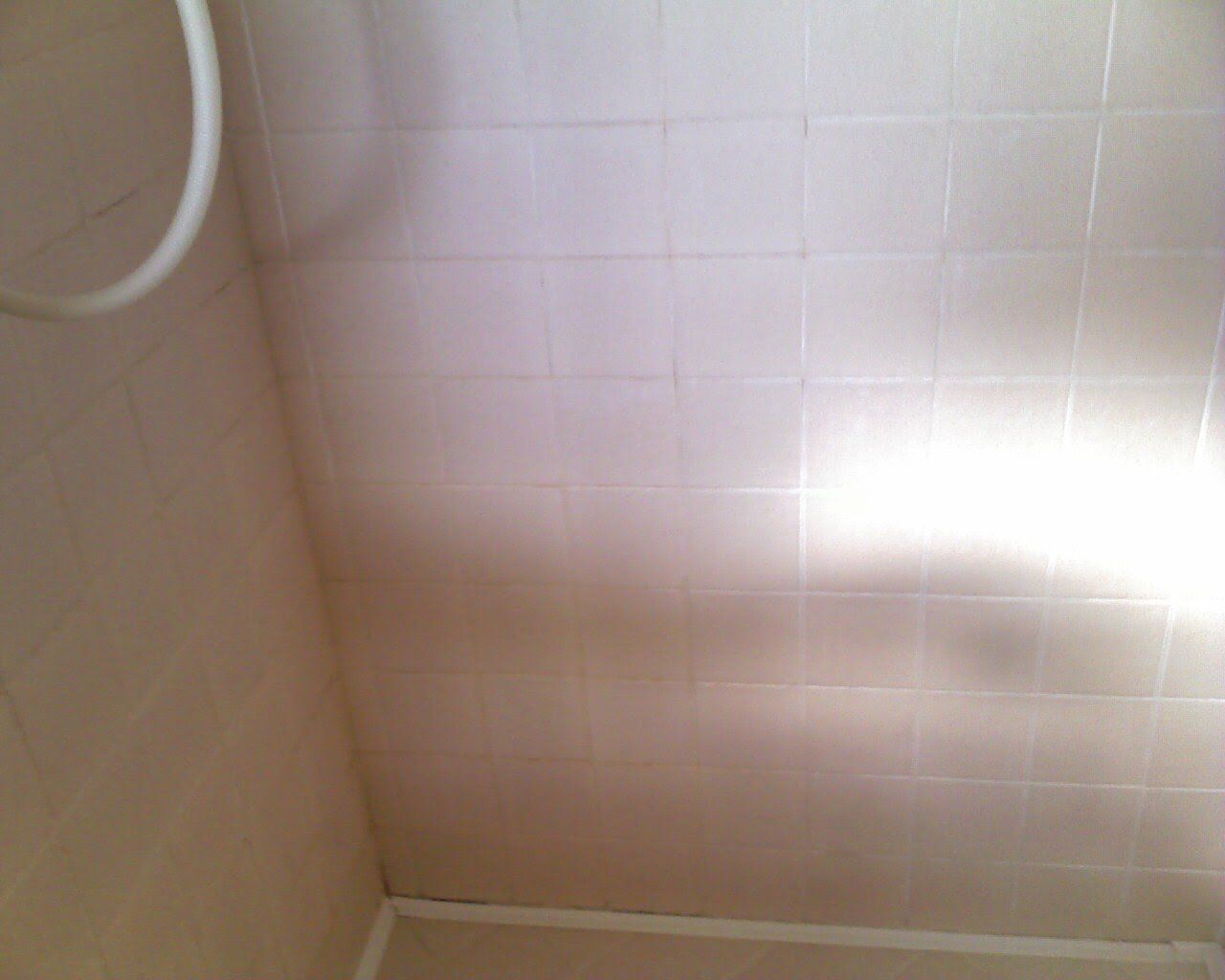 shower regrouting scottsdale