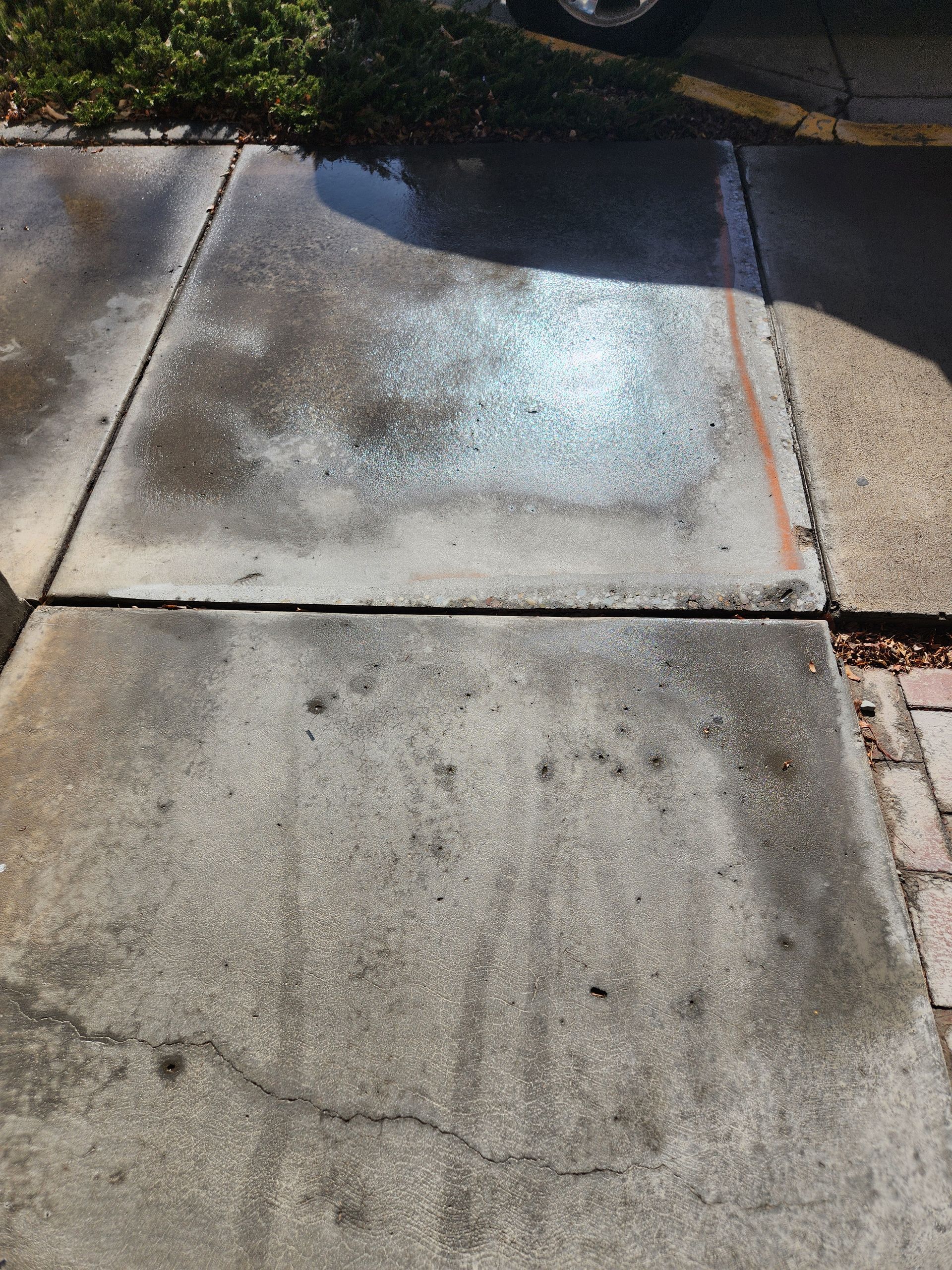 Wet concrete sidewalk with cracks and stains, reflecting sunlight.
