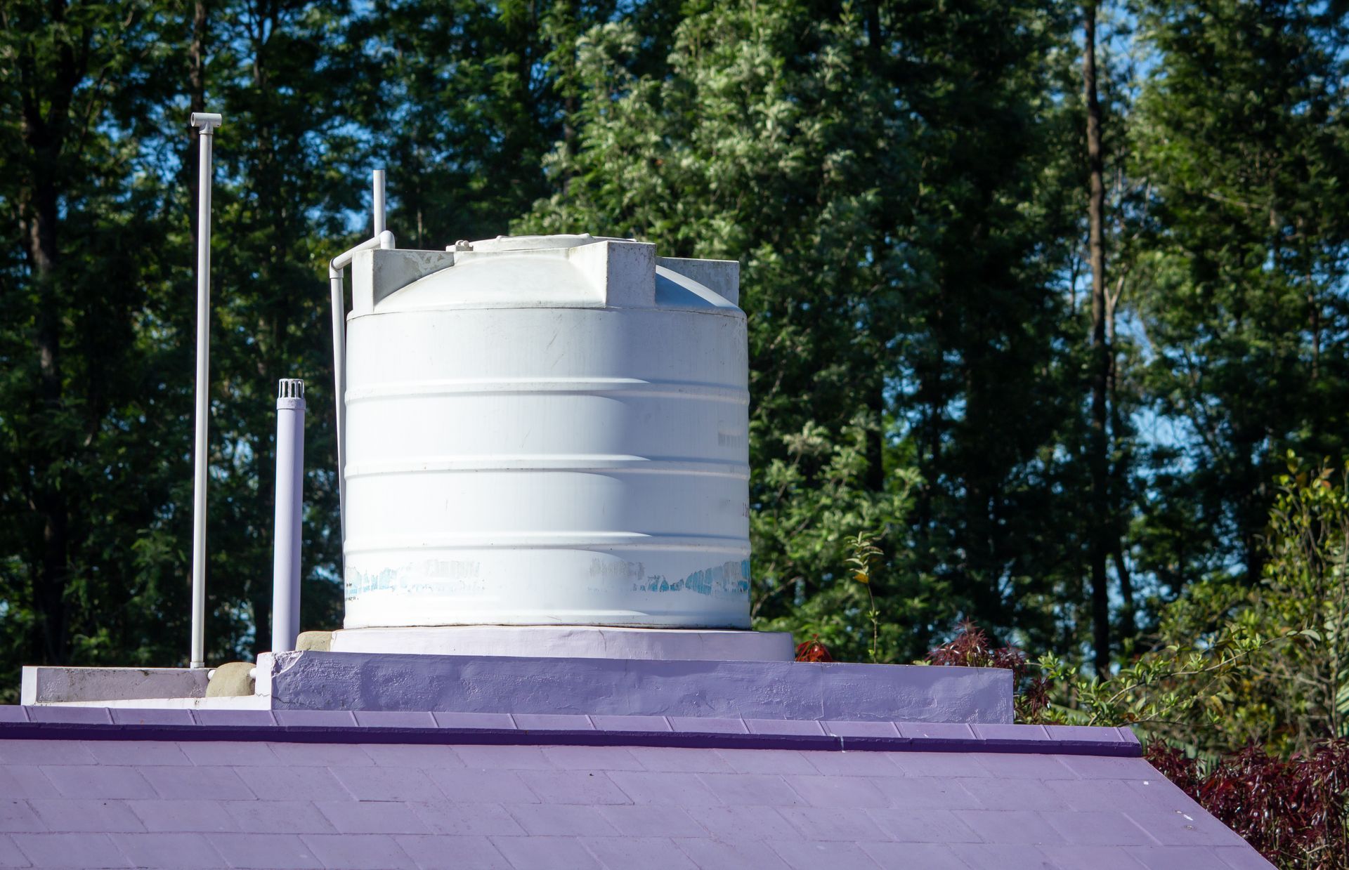 View of an overhead water tank on top of a purple home with trees around it.