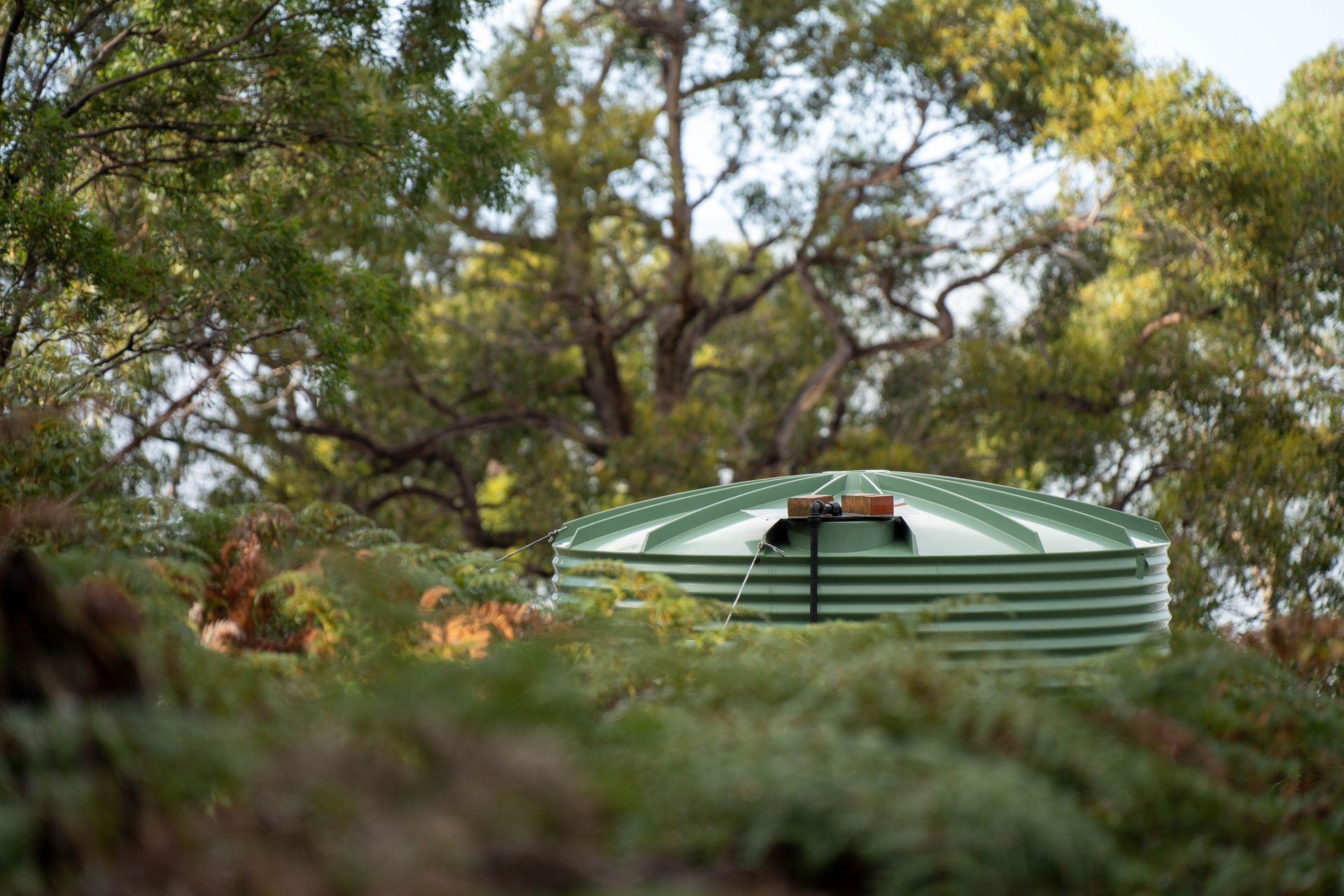 Plastic water tank in a forest of an off-grid house.