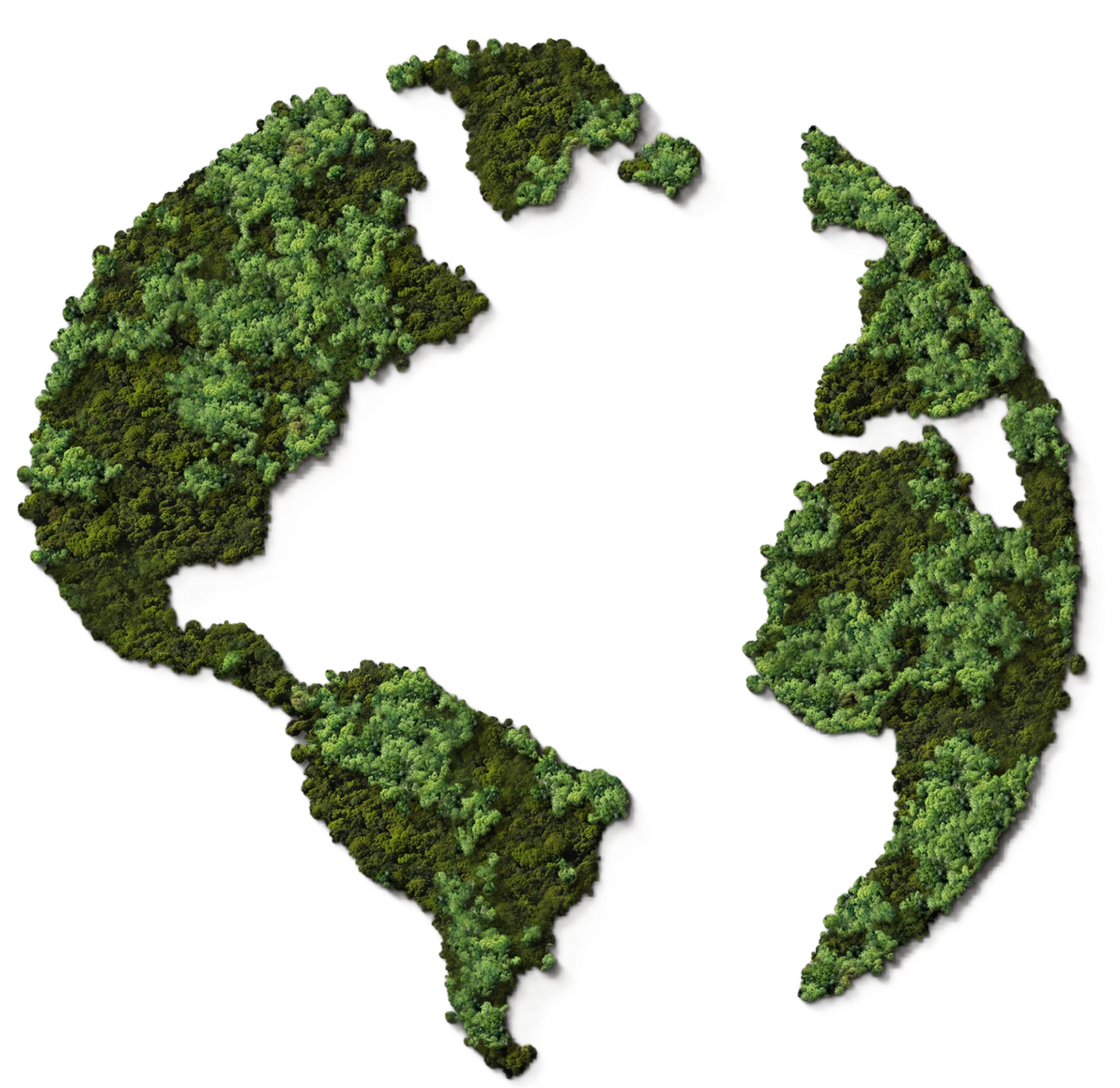 Green moss-like continents forming a stylized world map on a white background