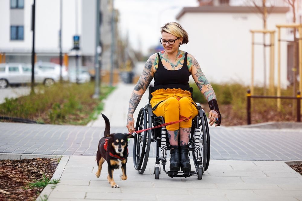 Woman with tattoos in a wheelchair walking a dog on a sidewalk in a residential area.