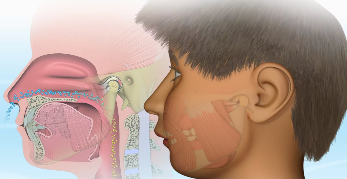 A drawing of a child 's nose and mouth.