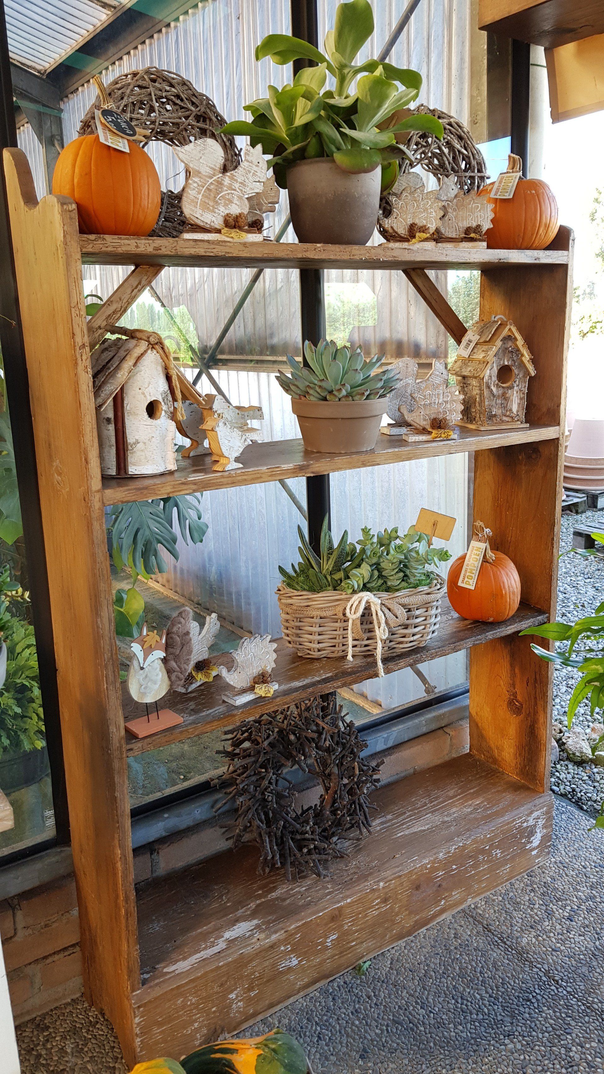 scaffale in legno con piante