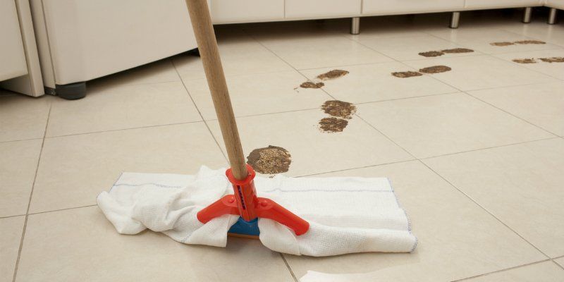 Mop Cleaning Dirty Foot Steps — Greenville, SC — American Waste Septic