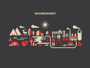 Environment Illustration — Greenville, SC — American Waste Septic