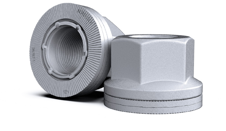 A close up of two nuts on a white background