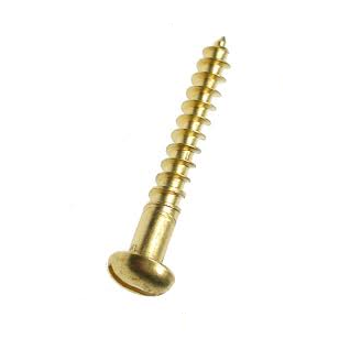 photo of a brass wood screw