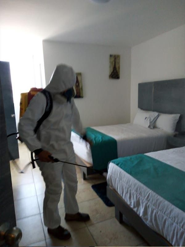 FUMIGACIONES ESPECIALES CONTROL  