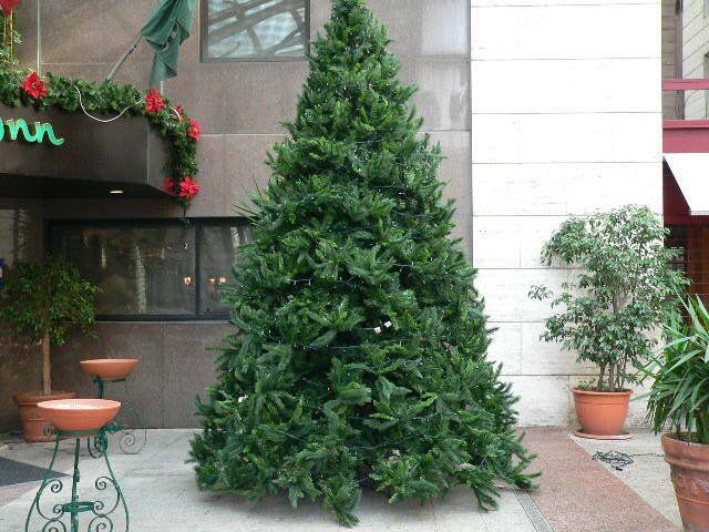 Albero di Natale ecologico installato presso Holliday Inn di Napoli