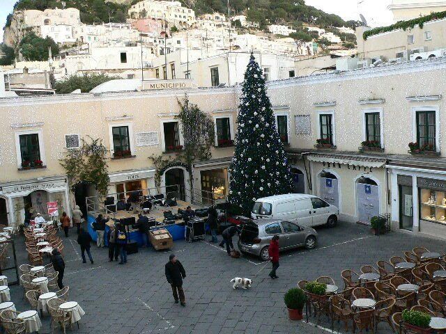 Albero di Natale gigante ecologico