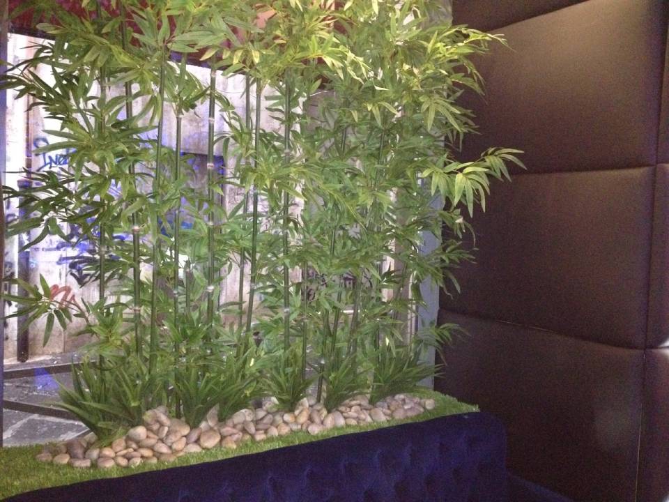 piante decorative con pietre da interni