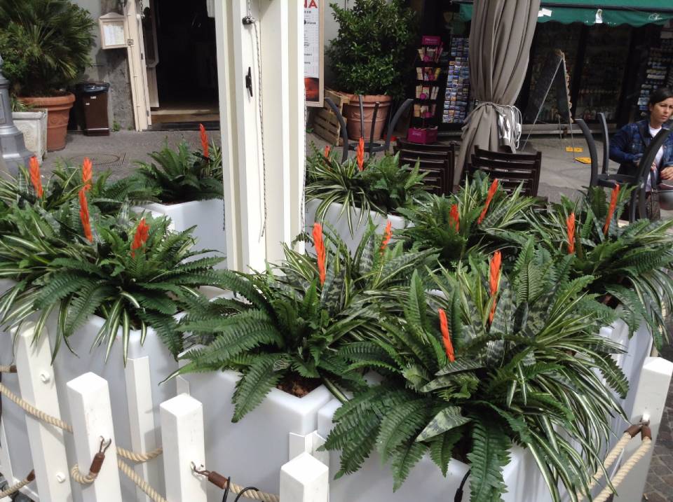 piante esterne con vasi in muratura