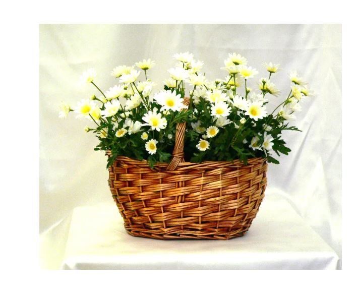 Composizione di fiori artificiali con margherite bianche