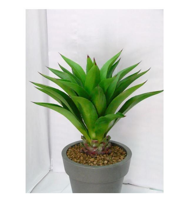 Piante artificiali agave