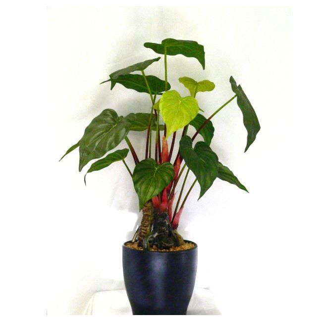 Piante artificiali anthurium