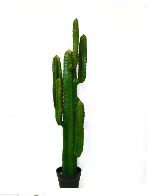 Piante artificiali cactus