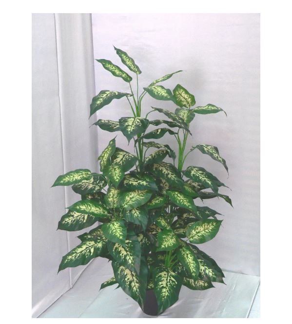 Piante artificiali dieffenbachia