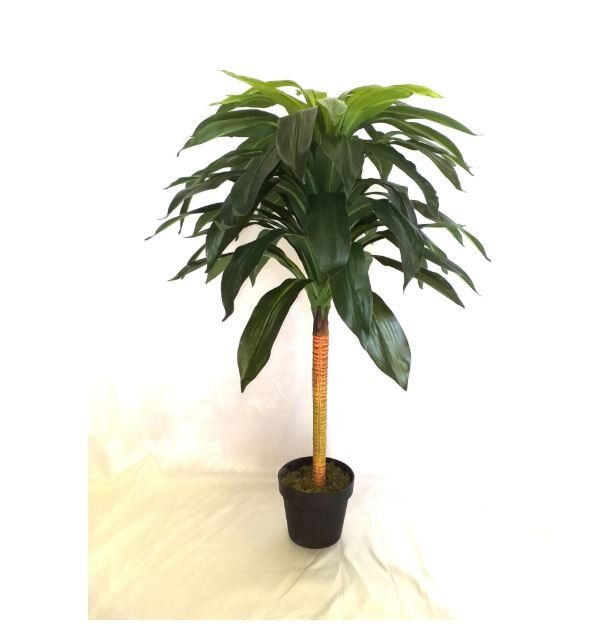 Piante artificiali  dracenia
