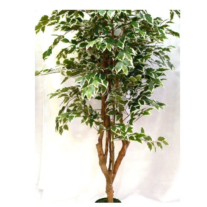 Piante artificiali ficus benjamin