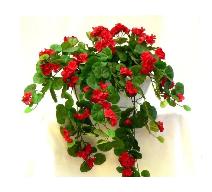 Piante artificiali geranio rosso