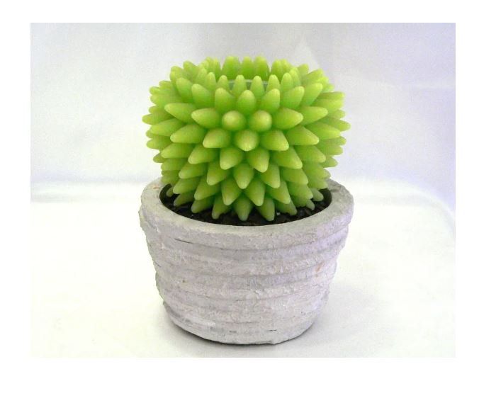 Pianta artificiale cactus fontana