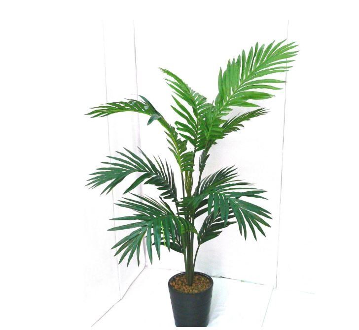 Pianta artificiale kenzia