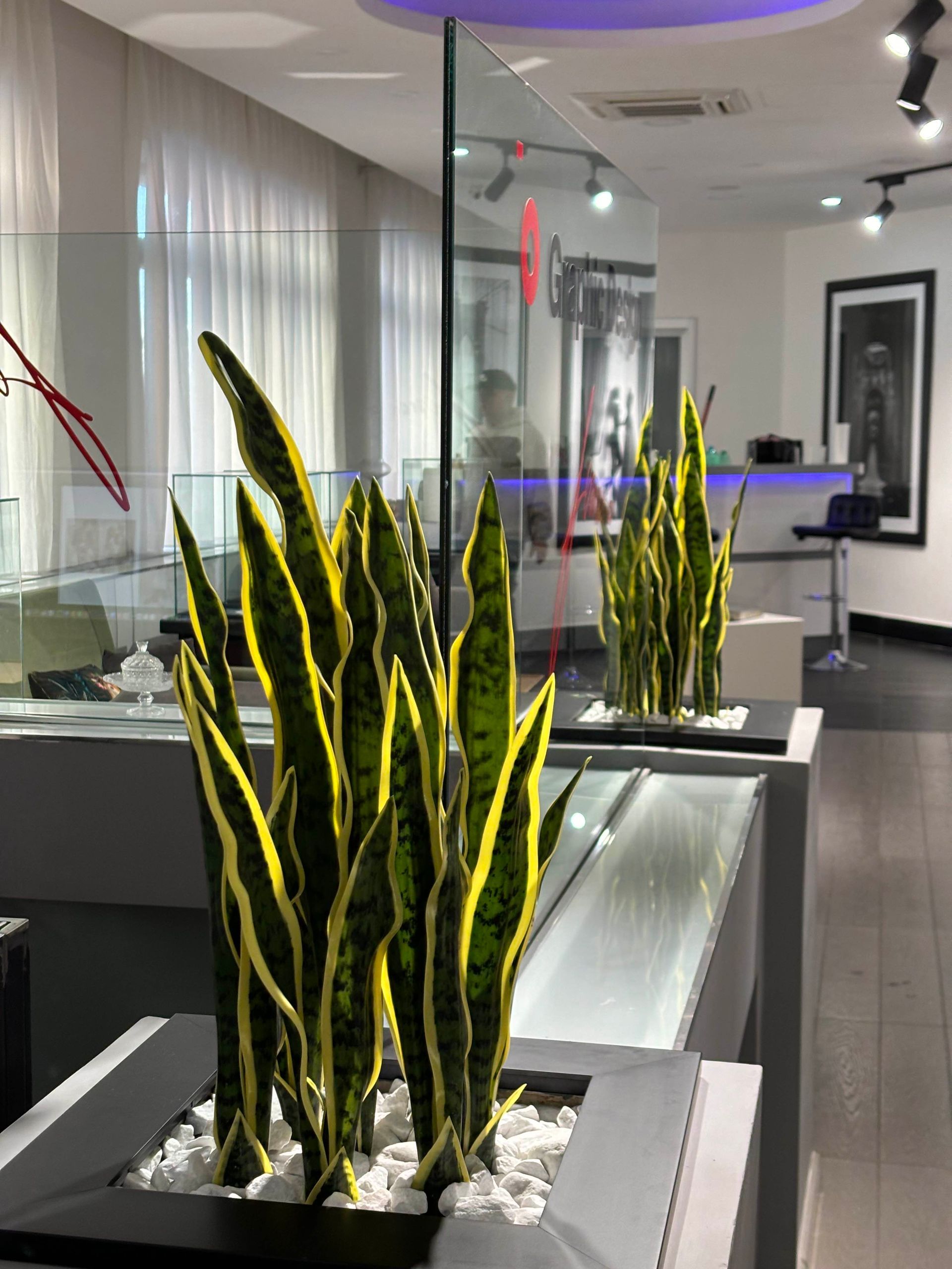 Pinate artificiali in ufficio