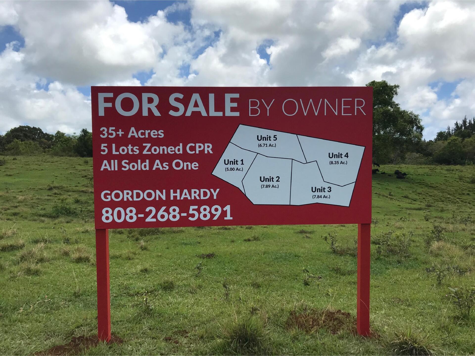 Banner — Lihue, HI — Sign Art